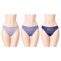 1628_glicine_pervinca_modroseda