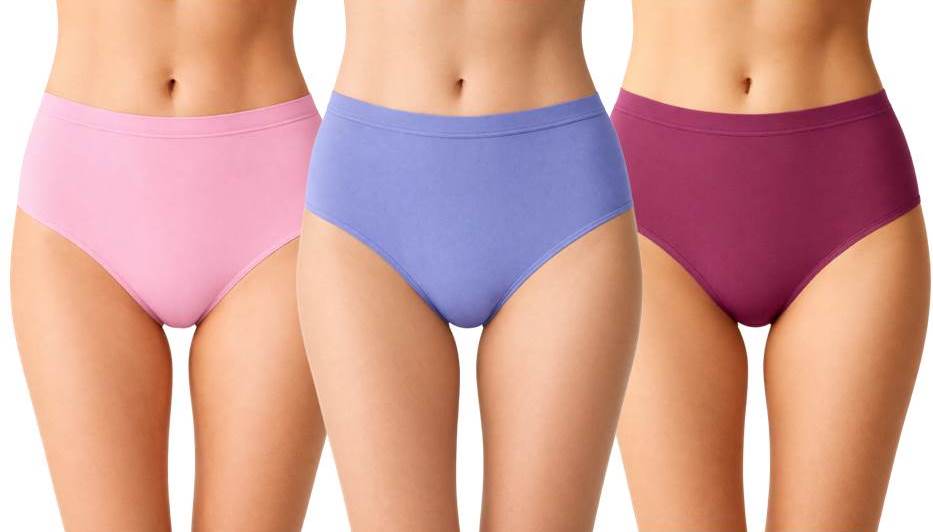 786_garofano_iris_ciclamino