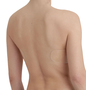 Adhesive_bra_DIM_ZD