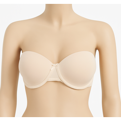 R736 GAIA Frames.png