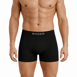 boxer_supplex_cerna
