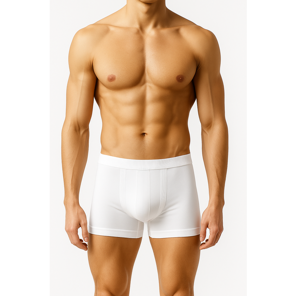 mb boxer 04.png