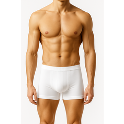 mb boxer 04.png