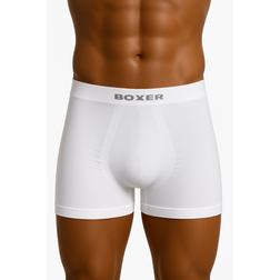 boxer Supplex OK.png